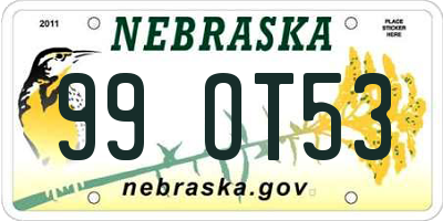 NE license plate 99OT53