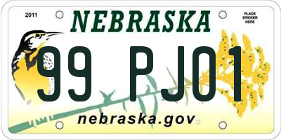 NE license plate 99PJ01