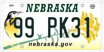 NE license plate 99PK31