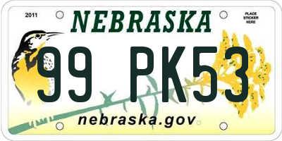 NE license plate 99PK53