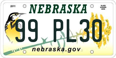 NE license plate 99PL30