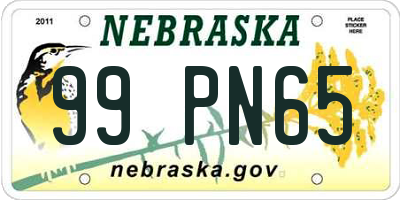 NE license plate 99PN65