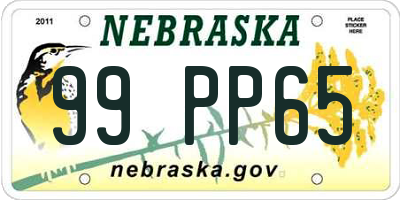 NE license plate 99PP65