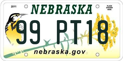 NE license plate 99PT18