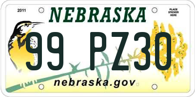 NE license plate 99PZ30