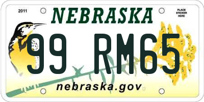 NE license plate 99RM65