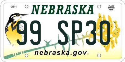 NE license plate 99SP30