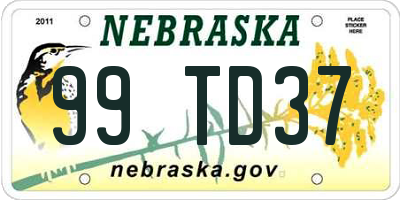 NE license plate 99TD37