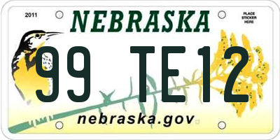 NE license plate 99TE12