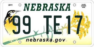 NE license plate 99TE17