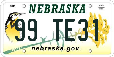 NE license plate 99TE31