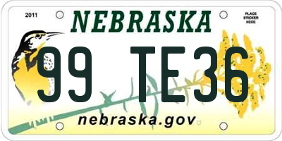 NE license plate 99TE36