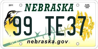NE license plate 99TE37