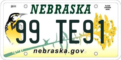 NE license plate 99TE91
