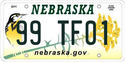 NE license plate 99TF01