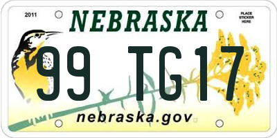 NE license plate 99TG17