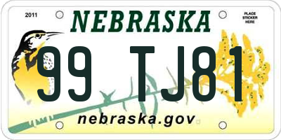 NE license plate 99TJ81