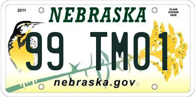 NE license plate 99TM01