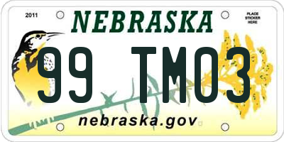 NE license plate 99TM03