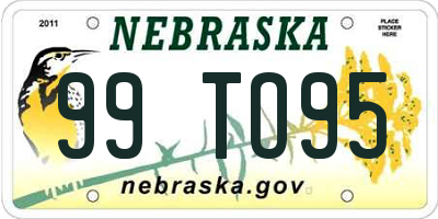 NE license plate 99TO95