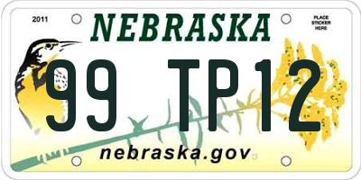 NE license plate 99TP12