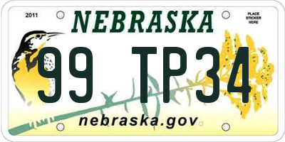 NE license plate 99TP34