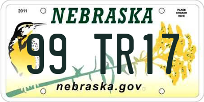 NE license plate 99TR17