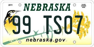 NE license plate 99TS07