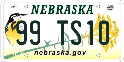 NE license plate 99TS10