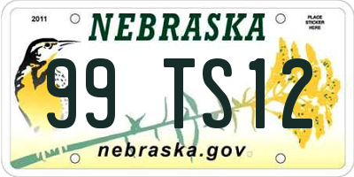 NE license plate 99TS12