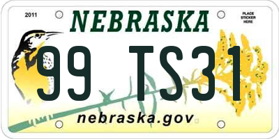 NE license plate 99TS31