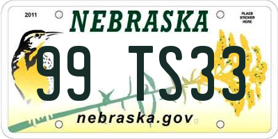 NE license plate 99TS33