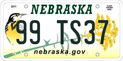 NE license plate 99TS37