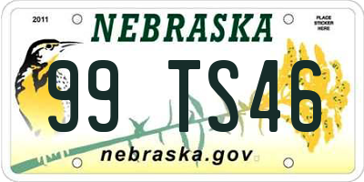 NE license plate 99TS46