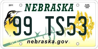 NE license plate 99TS53