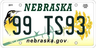 NE license plate 99TS93