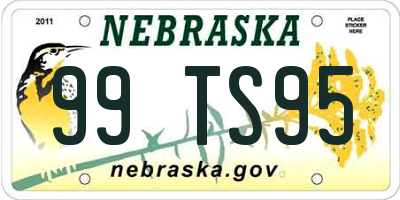 NE license plate 99TS95