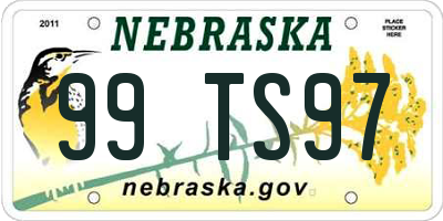 NE license plate 99TS97