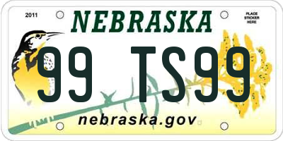 NE license plate 99TS99