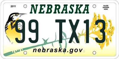 NE license plate 99TX13