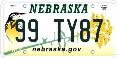 NE license plate 99TY87