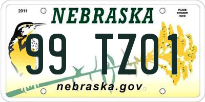 NE license plate 99TZ01