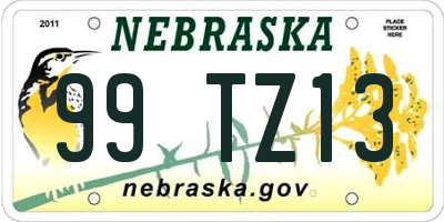 NE license plate 99TZ13