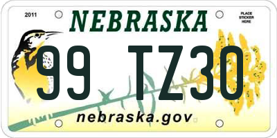NE license plate 99TZ30