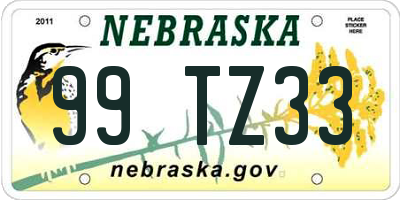 NE license plate 99TZ33