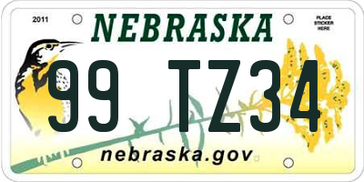 NE license plate 99TZ34