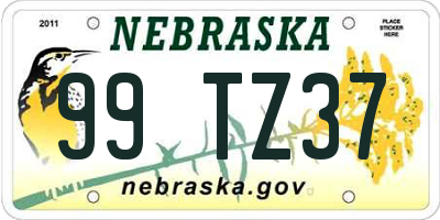 NE license plate 99TZ37