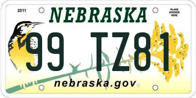 NE license plate 99TZ81