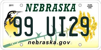 NE license plate 99UI29