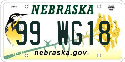 NE license plate 99WG18